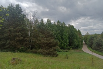 Działka Sprzedam kujawsko-pomorskie Górzno -1