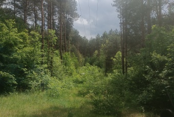 Działka Sprzedam kujawsko-pomorskie Górzno -2