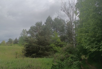 Działka Sprzedam kujawsko-pomorskie Górzno -3