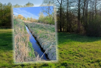 Działka na sprzedaż, Halinów mazowieckie - oferta 833319 Działka na sprzedaż Halinów 833319