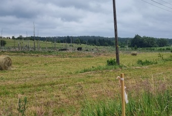 Działka Sprzedam warmińsko-mazurskie Pozezdrze -2