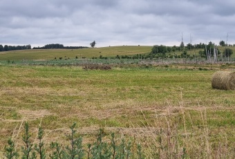 Działka Sprzedam warmińsko-mazurskie Pozezdrze -3