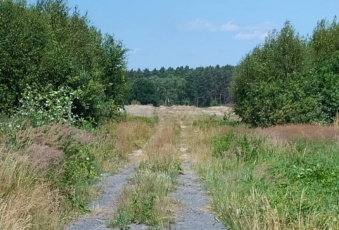 Działka Sprzedam lubuskie Nowogród Bobrzański -3