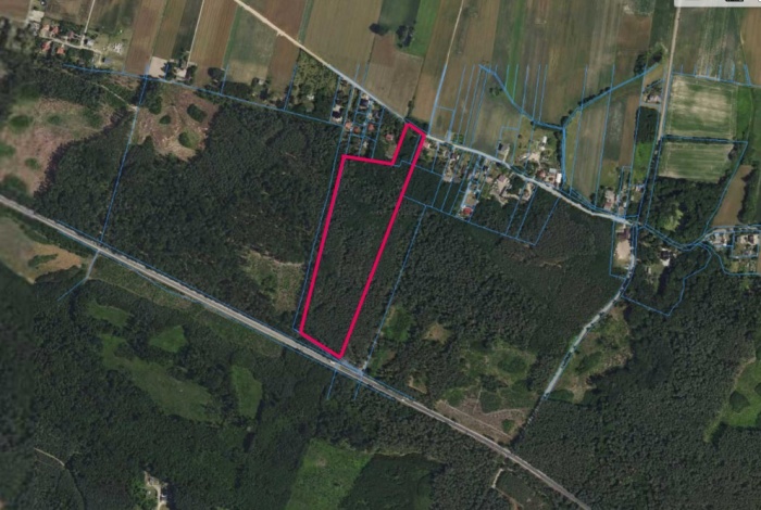 Działka na sprzedaż w Bodzanów Borowice  o powierzchni 6200 mkw