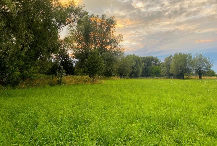 Działka na sprzedaż w Czosnów Cząstków Mazowiecki  o powierzchni 16650 mkw
