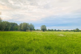 Działka Sprzedam mazowieckie Czosnów Cząstków Mazowiecki-2