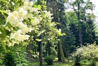 Działka Sprzedam mazowieckie Piaseczno -1