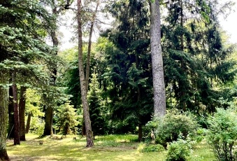 Działka Sprzedam mazowieckie Piaseczno -2