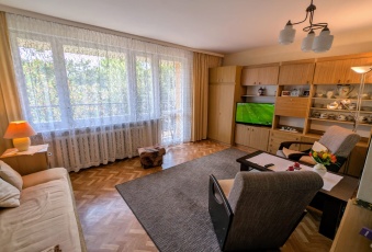 Mieszkanie Sprzedam śląskie Świętochłowice -2