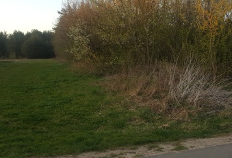 Działka na sprzedaż Chotcza  833445