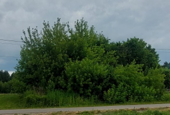 Działka Sprzedam mazowieckie Chotcza -1