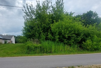 Działka Sprzedam mazowieckie Chotcza -2