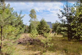 Działka na sprzedaż Stara Kiszewa  833058