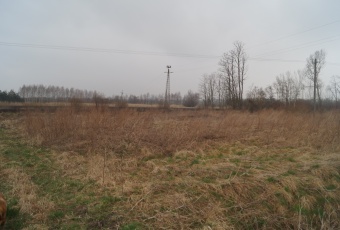 Działka Sprzedam świętokrzyskie Bejsce Bejsce-2