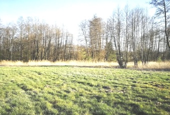 Działka Sprzedam mazowieckie Pniewy Jeziora-1