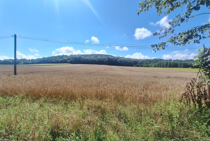 Działka na sprzedaż w Czernichów Czułówek Oświęcimska o powierzchni 26500 mkw