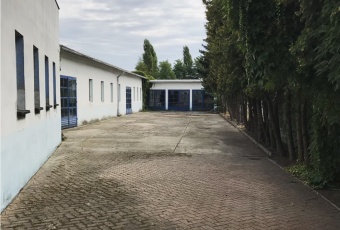 Komercja na wynajem Kalisz  833629