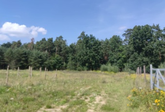 Działka Sprzedam zachodniopomorskie Dobra (Szczecińska) -1
