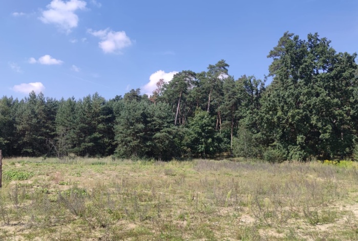 Działka na sprzedaż w Dobra (Szczecińska)   o powierzchni 2439 mkw