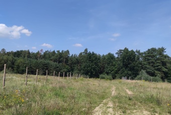 Działka Sprzedam zachodniopomorskie Dobra (Szczecińska) -2