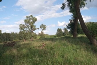 Działka Sprzedam warmińsko-mazurskie Sorkwity Sorkwity-3