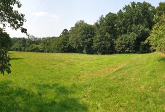 Działka na sprzedaż Jasienica  833719