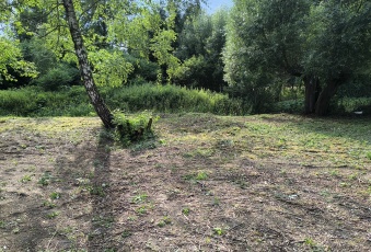 Działka Sprzedam mazowieckie Jaktorów Henryszew-1