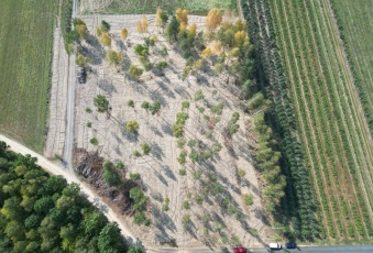 Działka na sprzedaż Warszawa  833847