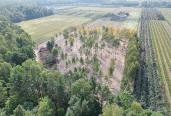 Działka Sprzedam mazowieckie Pruszków Pruszków-1
