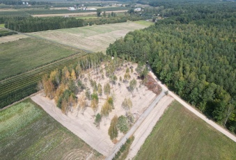 Działka Sprzedam mazowieckie Pruszków Pruszków-3