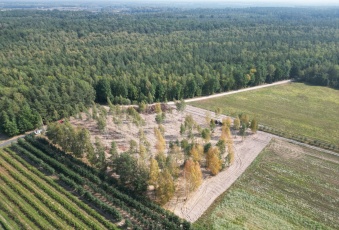 Działka na sprzedaż Grodzisk Mazowiecki  833851