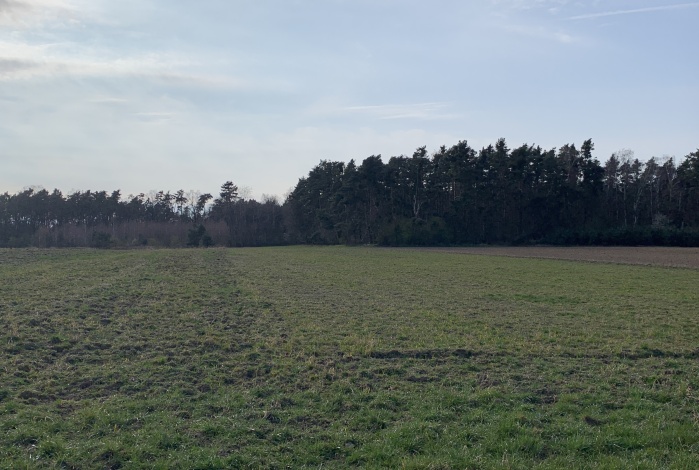 Działka na sprzedaż w Kunice Pątnów Legnicki  o powierzchni 48209 mkw