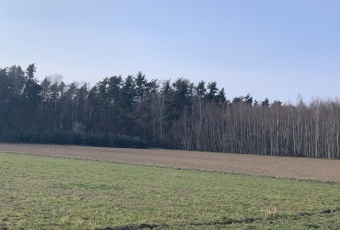 Działka Sprzedam dolnośląskie Kunice Pątnów Legnicki-1