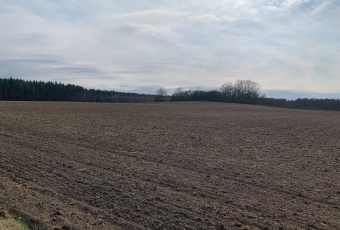 Działka Sprzedam dolnośląskie Kunice Pątnów Legnicki-2