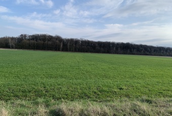 Działka Sprzedam dolnośląskie Kunice Pątnów Legnicki-3