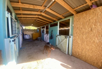 Działka na sprzedaż Głowaczów  833989