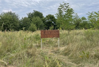 Działka Sprzedam mazowieckie Jastrząb Jastrząb-3