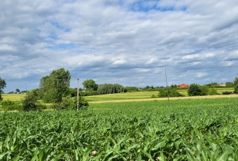 Działka Sprzedam lubelskie Jastków Płouszowice-Kolonia-3