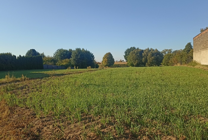 Działka na sprzedaż w Gierałtowice Paniówki Zamkowa o powierzchni 1800 mkw
