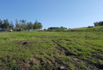 Działka Sprzedam małopolskie Biskupice Trąbki-3