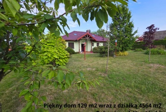 Dom Sprzedam śląskie Dębowiec Dębowiec-3