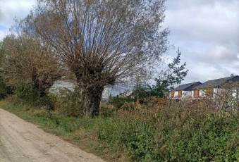 Działka na sprzedaż Rokietnica  834147