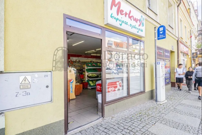 Komercja na sprzedaż w Środa Śląska  pl. Wolności 26 o powierzchni 240 mkw