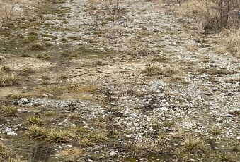 Działka Sprzedam dolnośląskie Kobierzyce Żerniki Małe-1