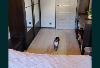 Mieszkanie sprzedaż Łódź Bałuty Inowrocławska 58 mkw Mieszkanie Sprzedam łódzkie Łódź Bałuty-3