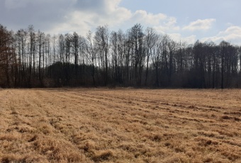 Działka sprzedaż Żabia Wola Ciepłe A Cichej Wody 1217 mkw Działka Sprzedam mazowieckie Żabia Wola Ciepłe A-2