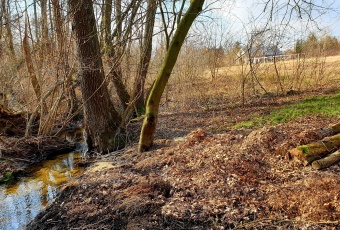 Działka sprzedaż Żabia Wola Ciepłe A Cichej Wody 1217 mkw Działka Sprzedam mazowieckie Żabia Wola Ciepłe A-1