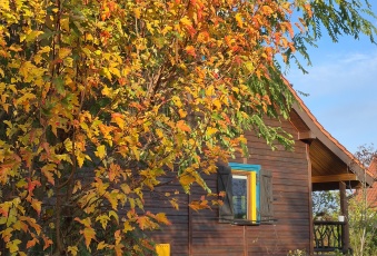 Dom na sprzedaż Pasym  833998