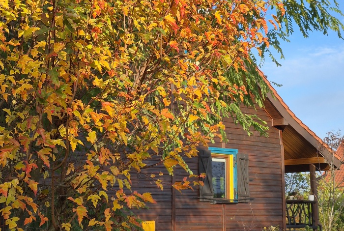 Dom na sprzedaż w Pasym  Michałki o powierzchni 122 mkw