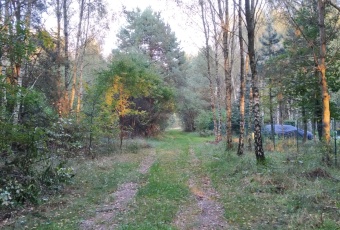 Działka Sprzedam łódzkie Wodzierady Pelagia-2